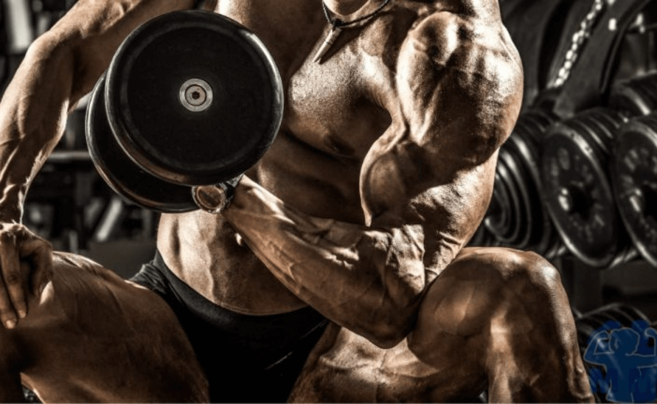 Luto en el fisicoculturismo