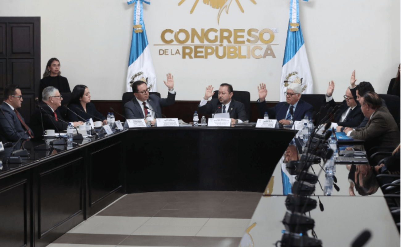 OEA advierte sobre debilidades en la elección del TSE y exige transparencia al Congreso